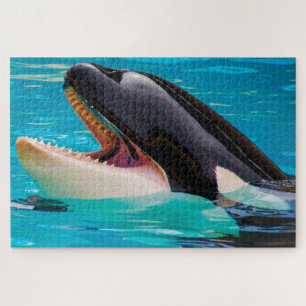 Puzzle Jigsaws Orques ou baleines tueuses
