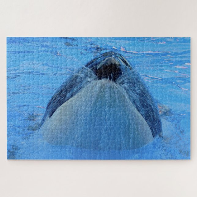 Puzzle Jigsaws Orques ou baleines tueuses (Horizontal)