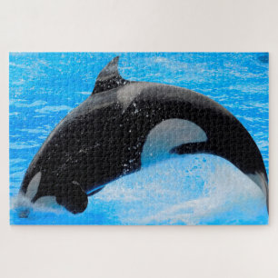 Puzzle Jigsaws Orques ou baleines tueuses