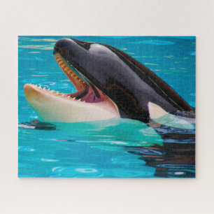 Puzzle Jigsaws Orques ou baleines tueuses