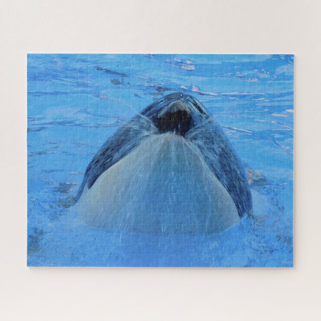 Puzzle Jigsaws Orques ou baleines tueuses (Horizontal)