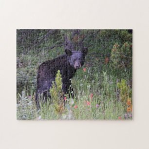 Puzzle Jigsaws Parc national Jasper Canada.