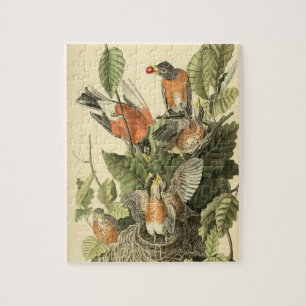 Puzzle John James Audubon American Robin Painting Gift