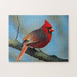 Puzzle Joli Cardinal Rouge Photo