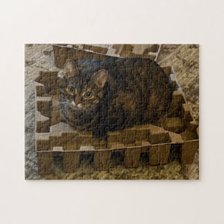 Puzzle Joli chat tigré dans une boîte d'insertion d'aspir
