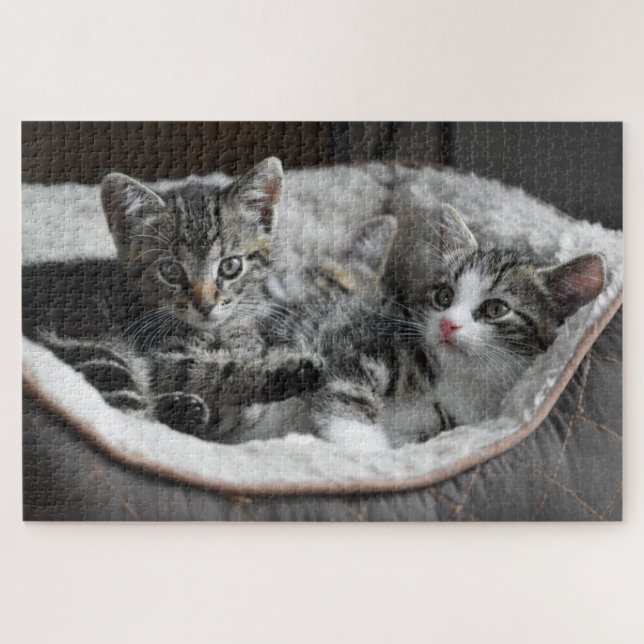 Puzzle Joli Chaton (Horizontal)