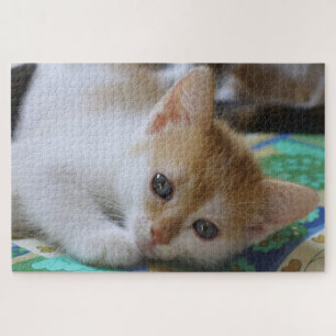 Puzzle Joli Chatons