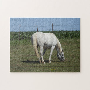 Puzzle Joli Cheval Blanc