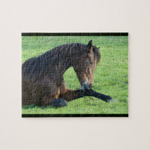 Puzzle Joli Cheval Brown allongé dans l'herbe