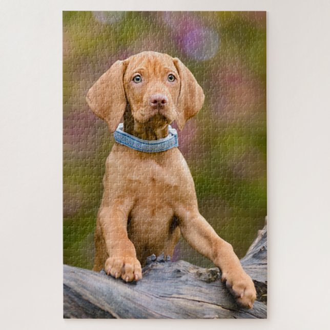 Puzzle Joli chiot hongrois Vizsla Chien Chien Chien Chien (Vertical)