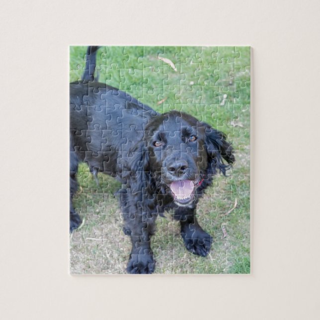 Puzzle Joli chiot noir (Vertical)