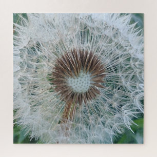 Puzzle Joli Dandelion blanc