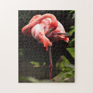 Puzzle Joli Flamant rose rose