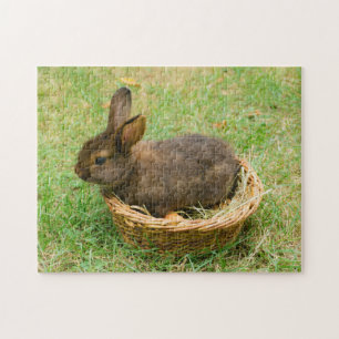 Puzzle Joli lapin