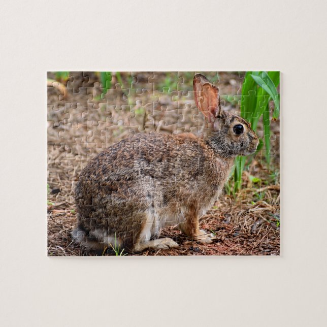 Puzzle Joli lapin sauvage (Horizontal)