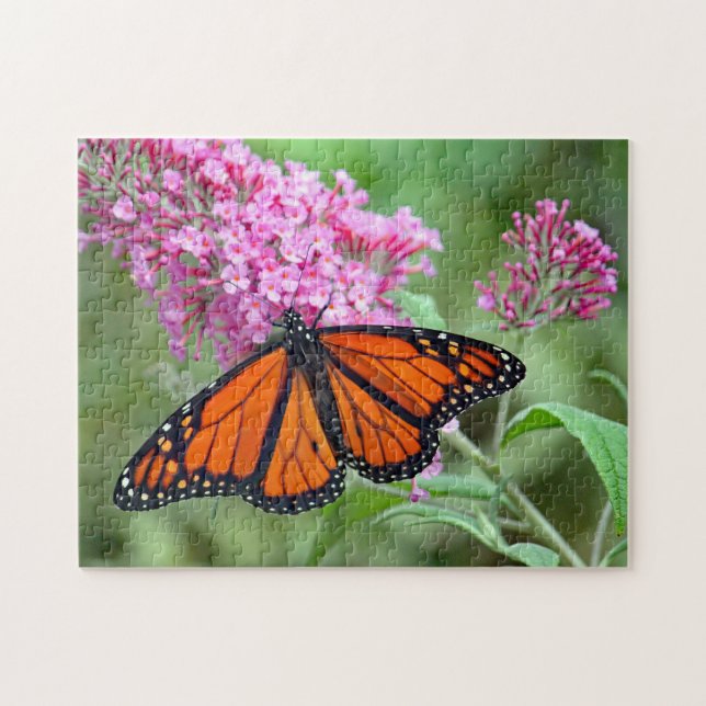 Puzzle Joli monarque papillon rose floral photo (Horizontal)