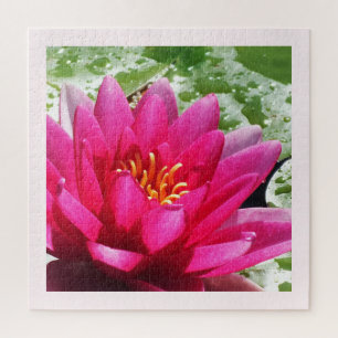 Puzzle Joli nénuphar