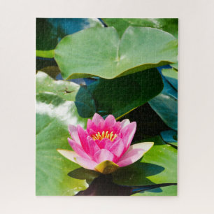 Puzzle Joli nénuphar rose avec des feuilles verts