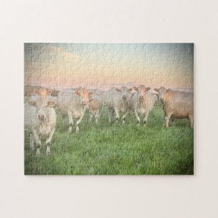 Puzzle Joli Pastel Charolais Cattle in Pastel