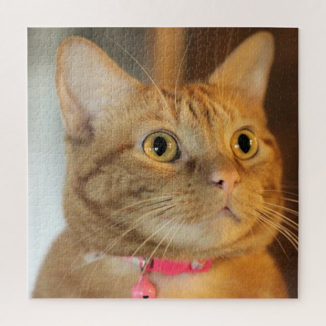 Puzzle Joli Penny (Vertical)