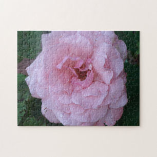 Puzzle Joli Peonie rose avec Raindrops