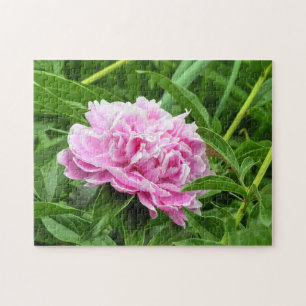 Puzzle Joli Peony Rose