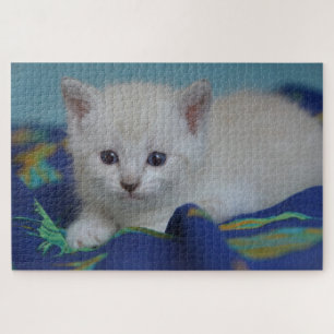 Puzzle Joli petit chat