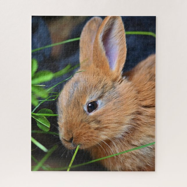 Puzzle Joli Petit Lapin Doré (Vertical)