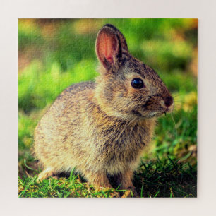 Puzzle Joli Petit Lapin - Douce