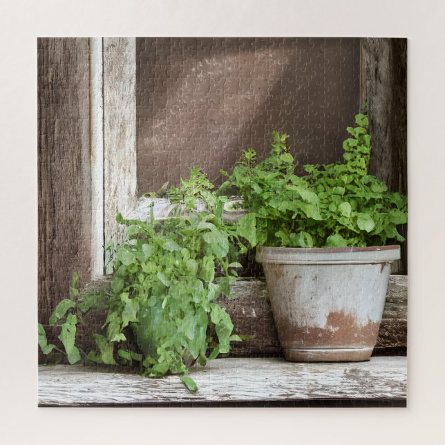 Puzzle Joli Plante dans une fenêtre rustique (Vertical)