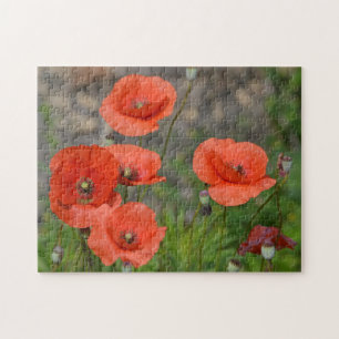 Puzzle Joli Poppy rouge