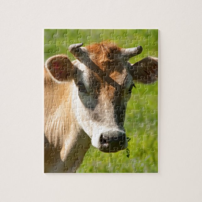Puzzle Joli regard fixe de vache du Jersey (Vertical)