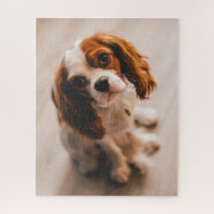Puzzle Joli Sad Eyes Rouge Blanc Cocktail Espagnol Chien
