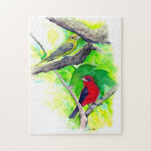 Puzzle Joli Scarlet Tanagers Couple Peinture