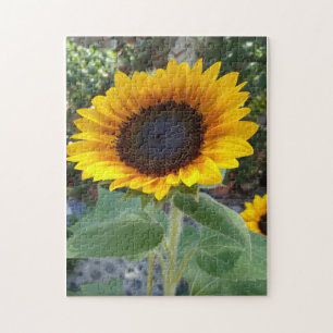 Puzzle Joli tournesol