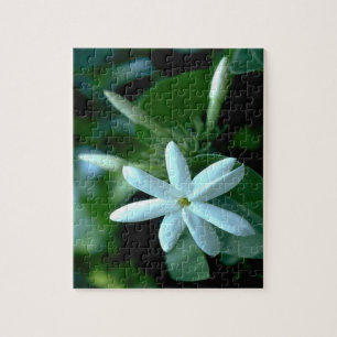 Puzzle Jolie Fleur Stephanotis Blanche