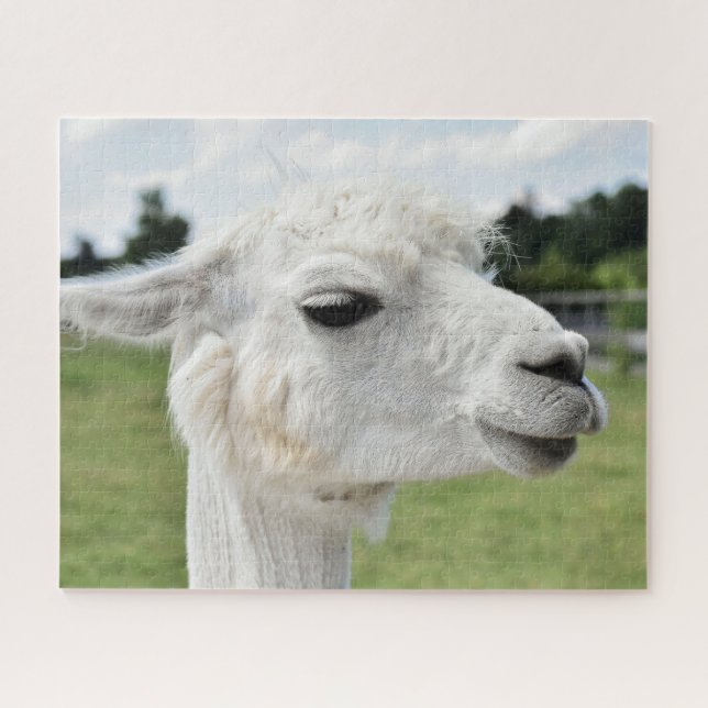 Puzzle Jolie photo de Alpaca Llama (Horizontal)