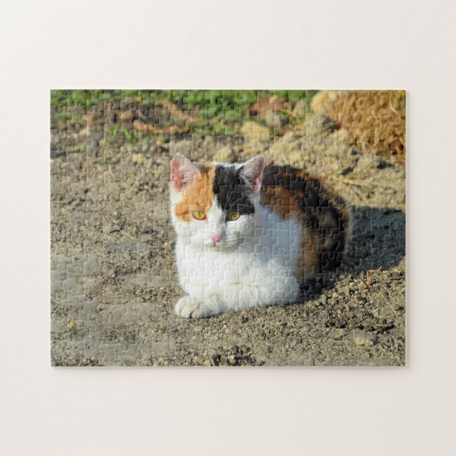 Puzzle Jolie photo de chat Calico (Horizontal)