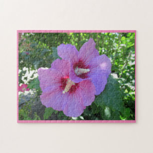 Puzzle Jolie rose rose de Sharon Photo