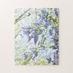 Puzzle Jolies fleurs printanières Arbre à fleurs violette