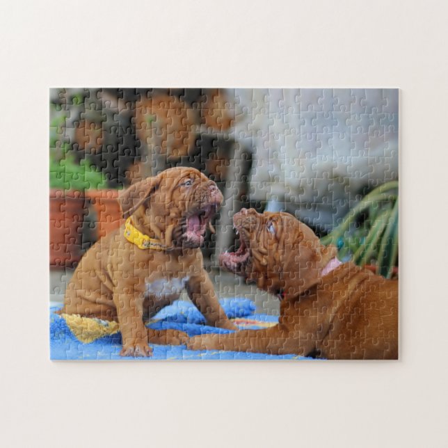 Puzzle Joueur de chiots du Dogue de Bordeaux (Horizontal)