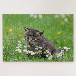 Puzzle Joyeux chat jouant avec des fleurs