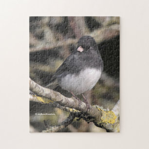 Puzzle Junco à ardoise foncée sur l'arbre à poires