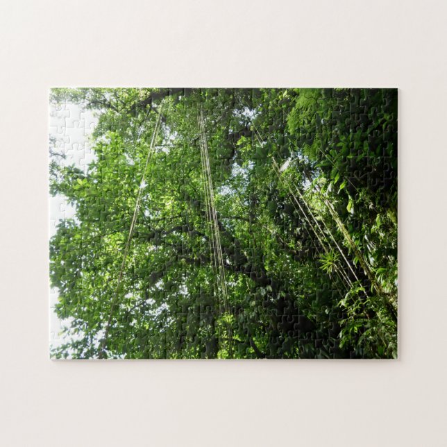 Puzzle Jungle Ropes Rainforest Photographie (Horizontal)