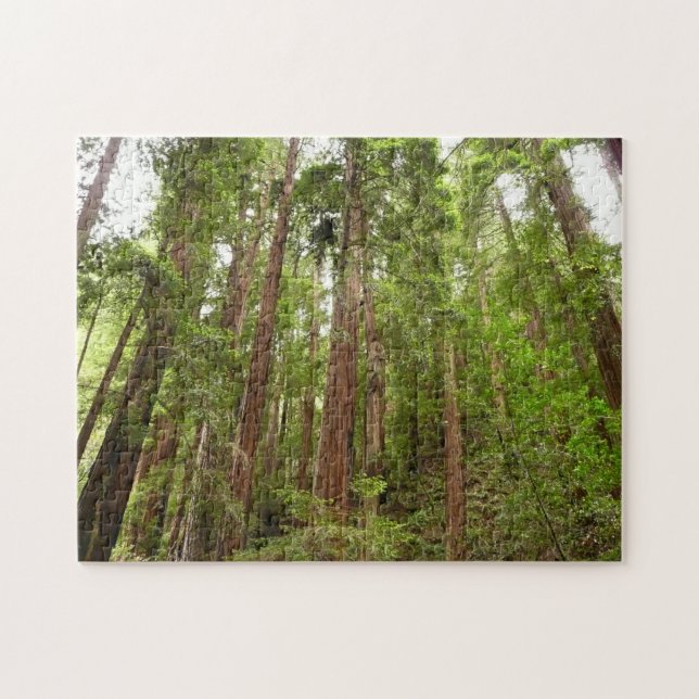 Puzzle Jusqu'à Redwoods I au monument national de Muir Wo (Horizontal)
