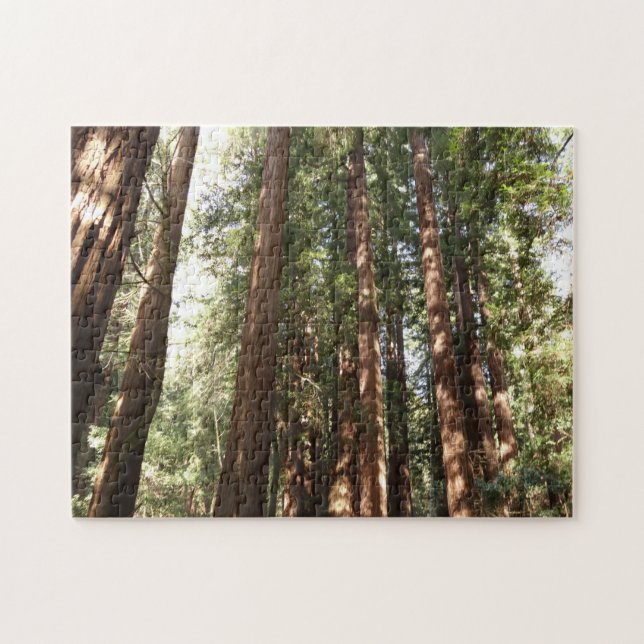 Puzzle Jusqu'à Redwoods II au monument national de Muir W (Horizontal)