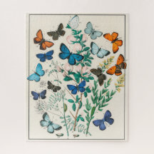 Kaleidoscope de papillons lutteux Kirby