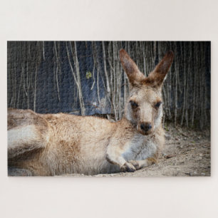 Puzzle Kangaroo