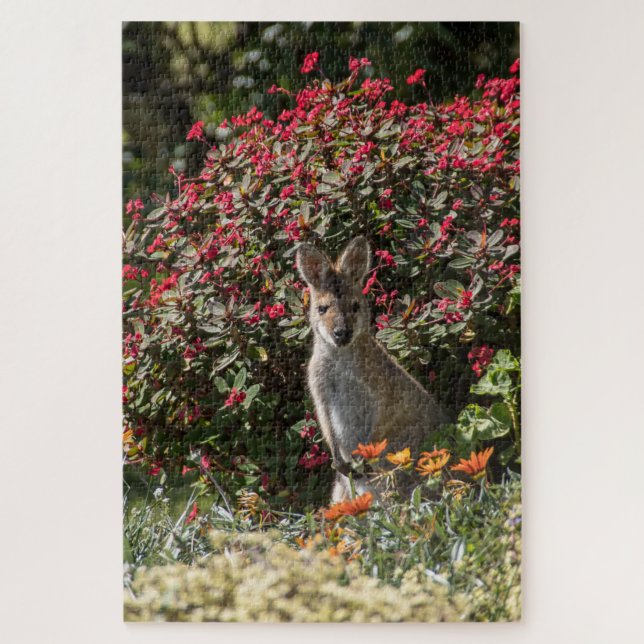 Puzzle Kangaroo (Vertical)