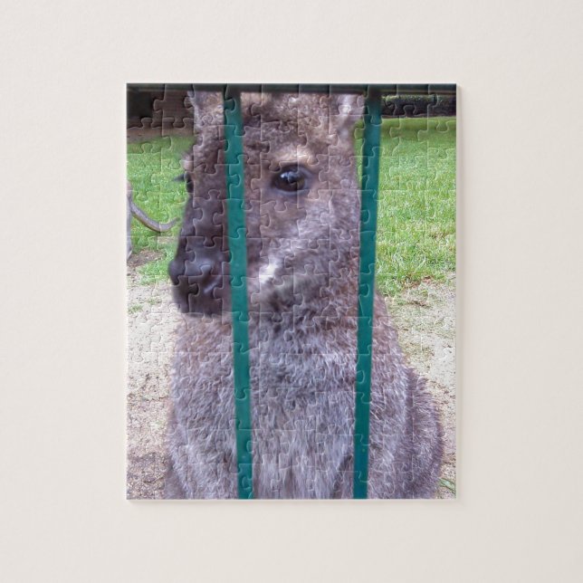 Puzzle Kangaroo derrière les barreaux (Vertical)